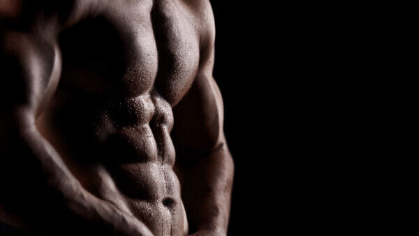 FITNESS COACH ONLINE 